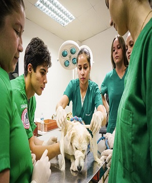 staff-image